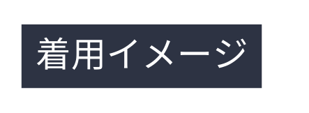 着用イメージ